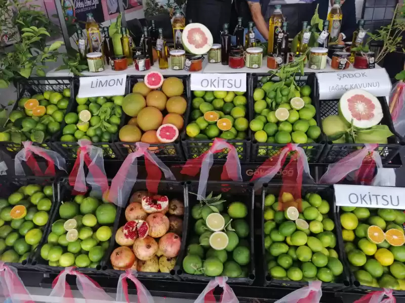 İSTANBUL HATAY LEZZETLERİYLE BULUŞTU