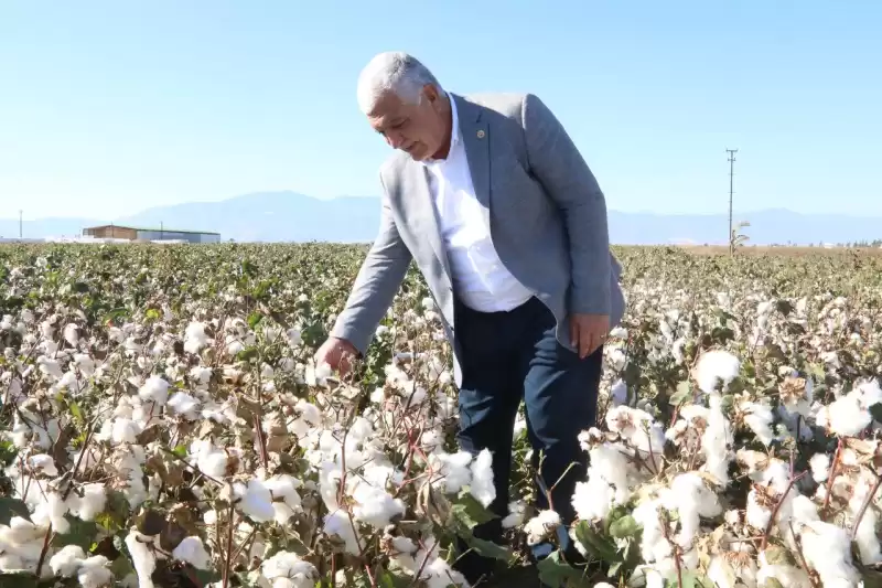 “Pamuk Üreticisi Çiftçilerimiz Dertli”