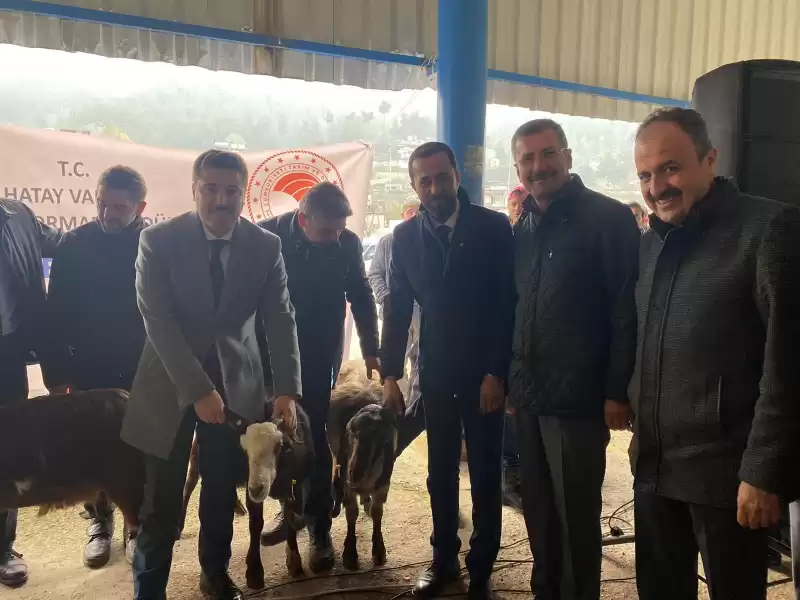 YALÇIN 42 Aileye 882 Adet Damızlık Keçi Ve Teke Dağıtımını Yaptı.