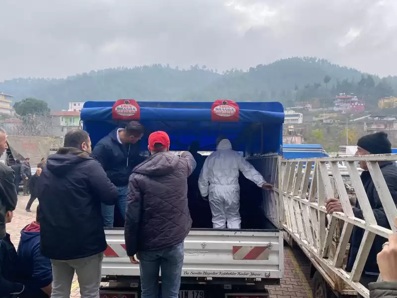 YALÇIN 42 Aileye 882 Adet Damızlık Keçi Ve Teke Dağıtımını Yaptı.