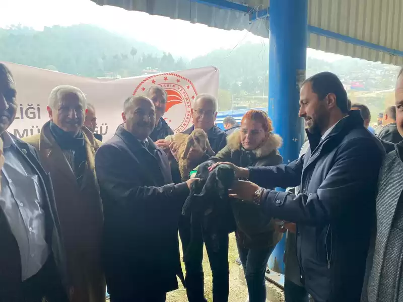 YALÇIN 42 Aileye 882 Adet Damızlık Keçi Ve Teke Dağıtımını Yaptı.