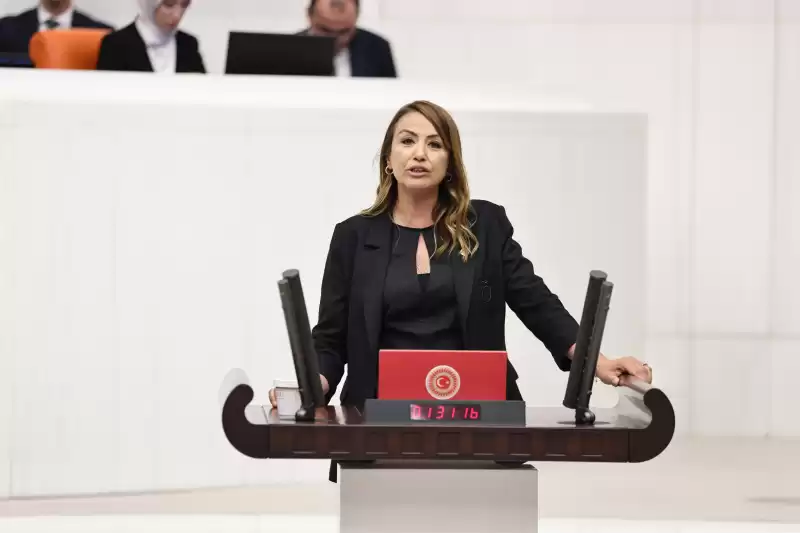 CHP HATAY MİLLETVEKİLİ NERMİN YILDIRIM KARA: AİLE HEKİMLERİNİN SORUNLARI ÇÖZÜLMEZSE HALK SAĞLIĞI TEHLİKEYE GİRER