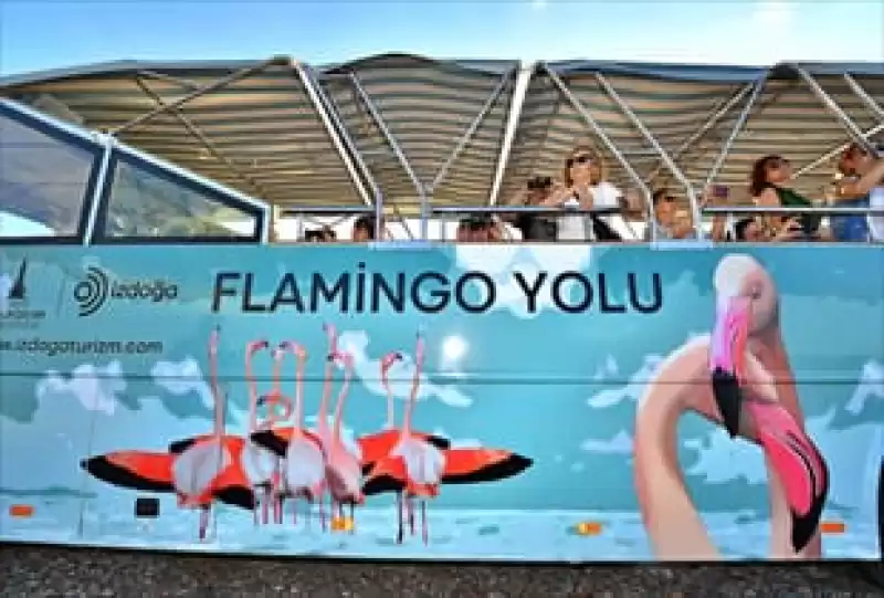 Doğaseverler Flamingo Festivali’nde Buluşacak