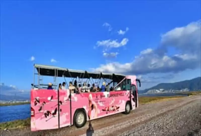 Doğaseverler Flamingo Festivali’nde Buluşacak