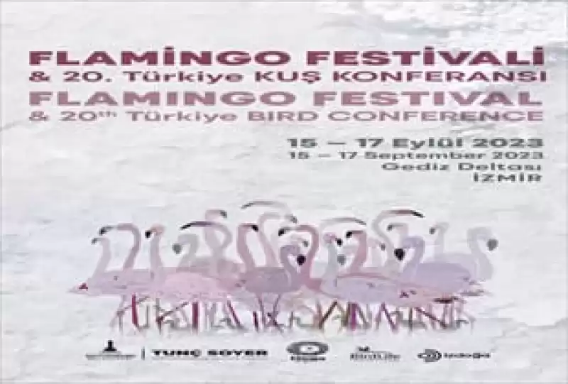 Doğaseverler Flamingo Festivali’nde Buluşacak
