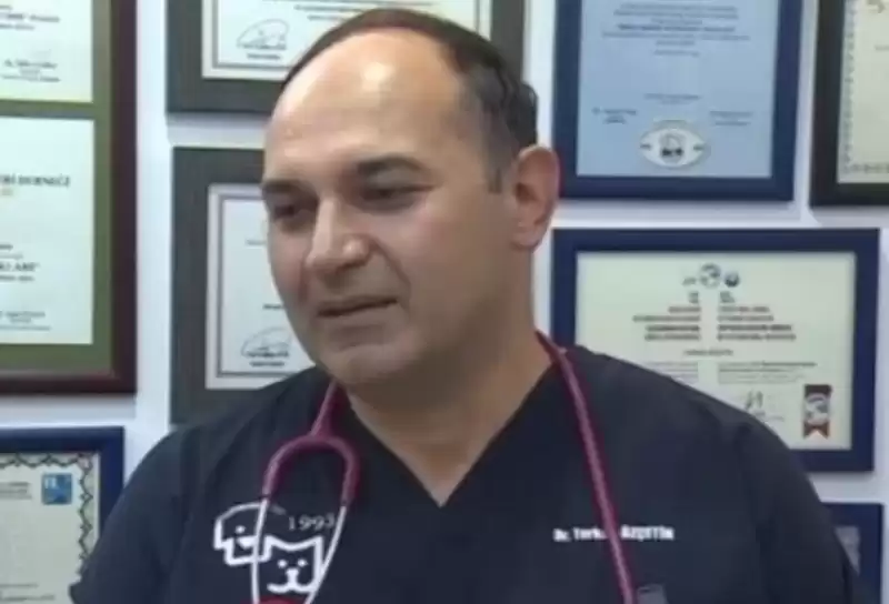 PROBLEMİN TEMEL KAYNAĞI KIRSAL